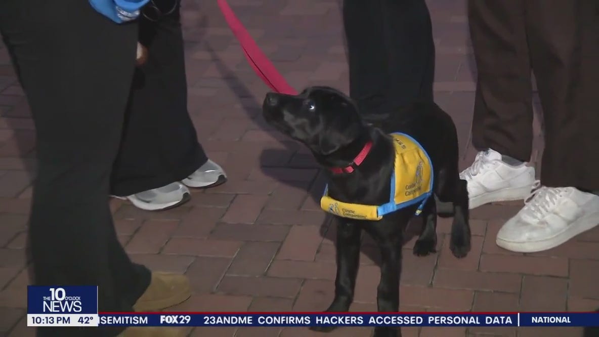 Future service dog catches the eyes of many at Temple University